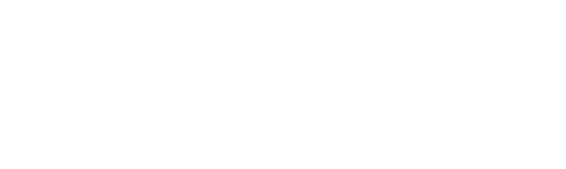 Digisoc